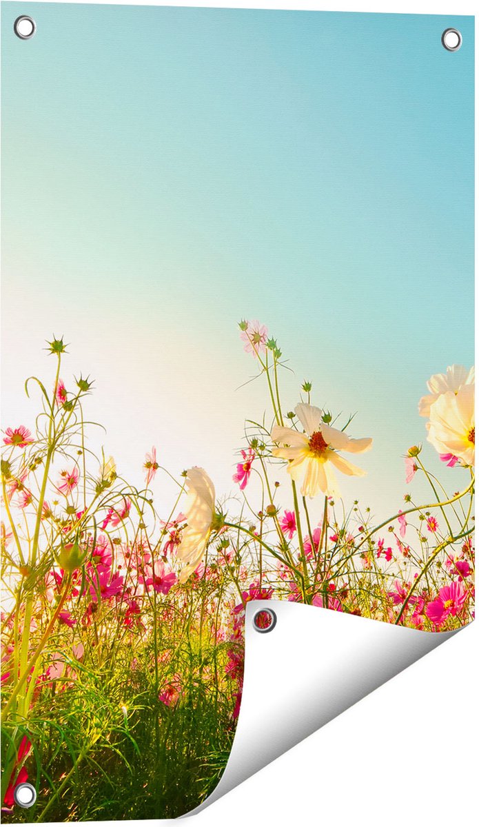 Gards Tuinposter Kosmos Bloemenveld met een Opkomende Zon - 40x60 cm - Tuindoek - Tuindecoratie - Wanddecoratie buiten - Tuinschilderij Multikleur
