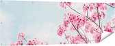 Gards Tuinposter Roze Bloesemboom - Bloemen - 180x60 cm - Tuindoek - Tuindecoratie - Wanddecoratie buiten - Tuinschilderij