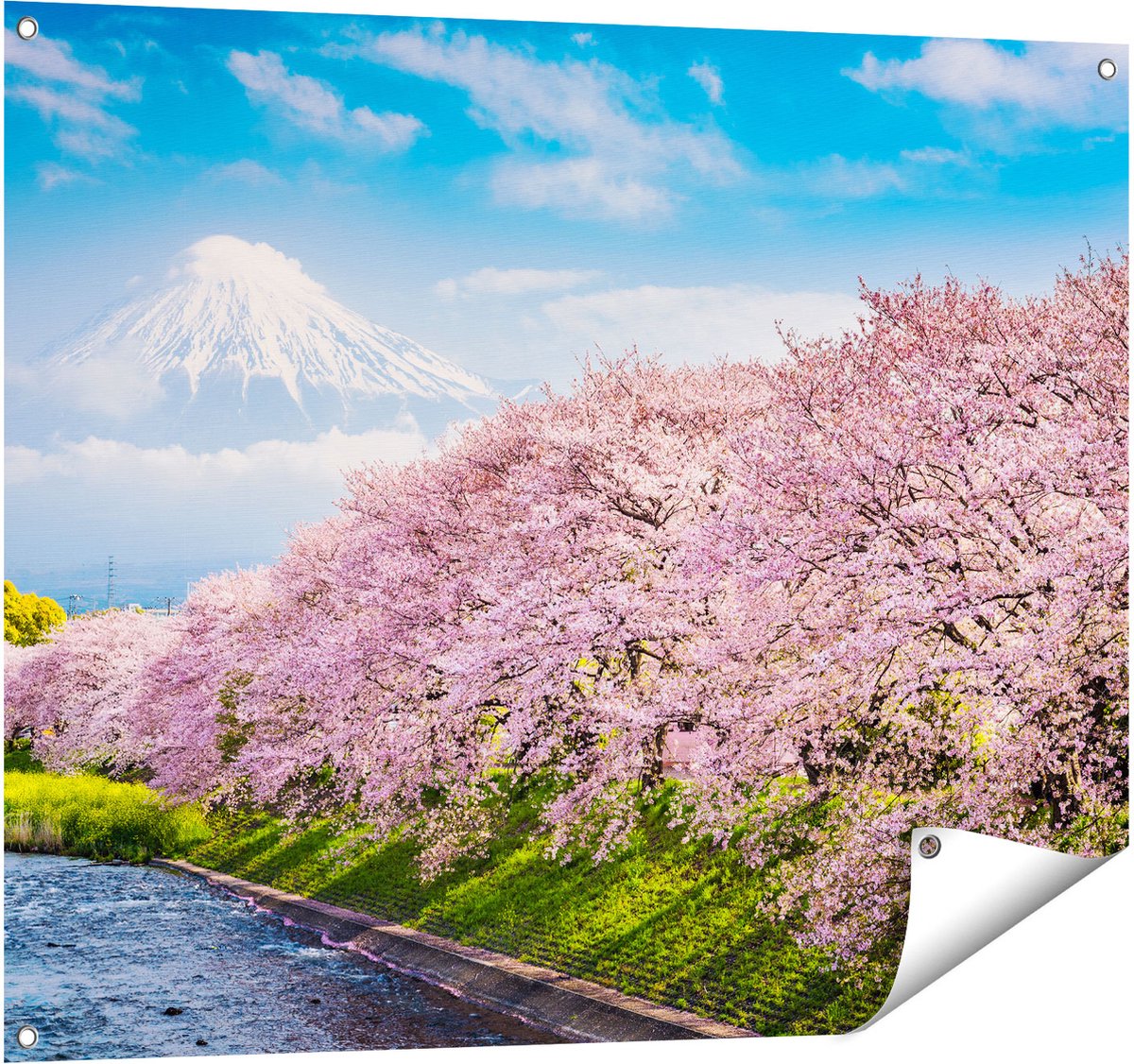 Gards Tuinposter Roze Bloesembomen bij de Fuji Berg - 100x80 cm - Tuindoek - Tuindecoratie - Wanddecoratie buiten - Tuinschilderij Multikleur