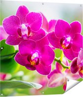 Gards Tuinposter Roze Orchidee Bloemen - 100x100 cm - Tuindoek - Tuindecoratie - Wanddecoratie buiten - Tuinschilderij