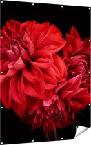 Gards Tuinposter Rode Dahlia Bloemen - 120x160 cm - Tuindoek - Tuindecoratie - Wanddecoratie buiten - Tuinschilderij