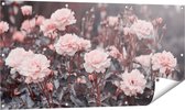 Gards Tuinposter Roze Rozen Bloemen - 120x60 cm - Tuindoek - Tuindecoratie - Wanddecoratie buiten - Tuinschilderij