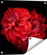 Gards Tuinposter Rode Dahlia Bloemen - 50x50 cm - Tuindoek - Tuindecoratie - Wanddecoratie buiten - Tuinschilderij