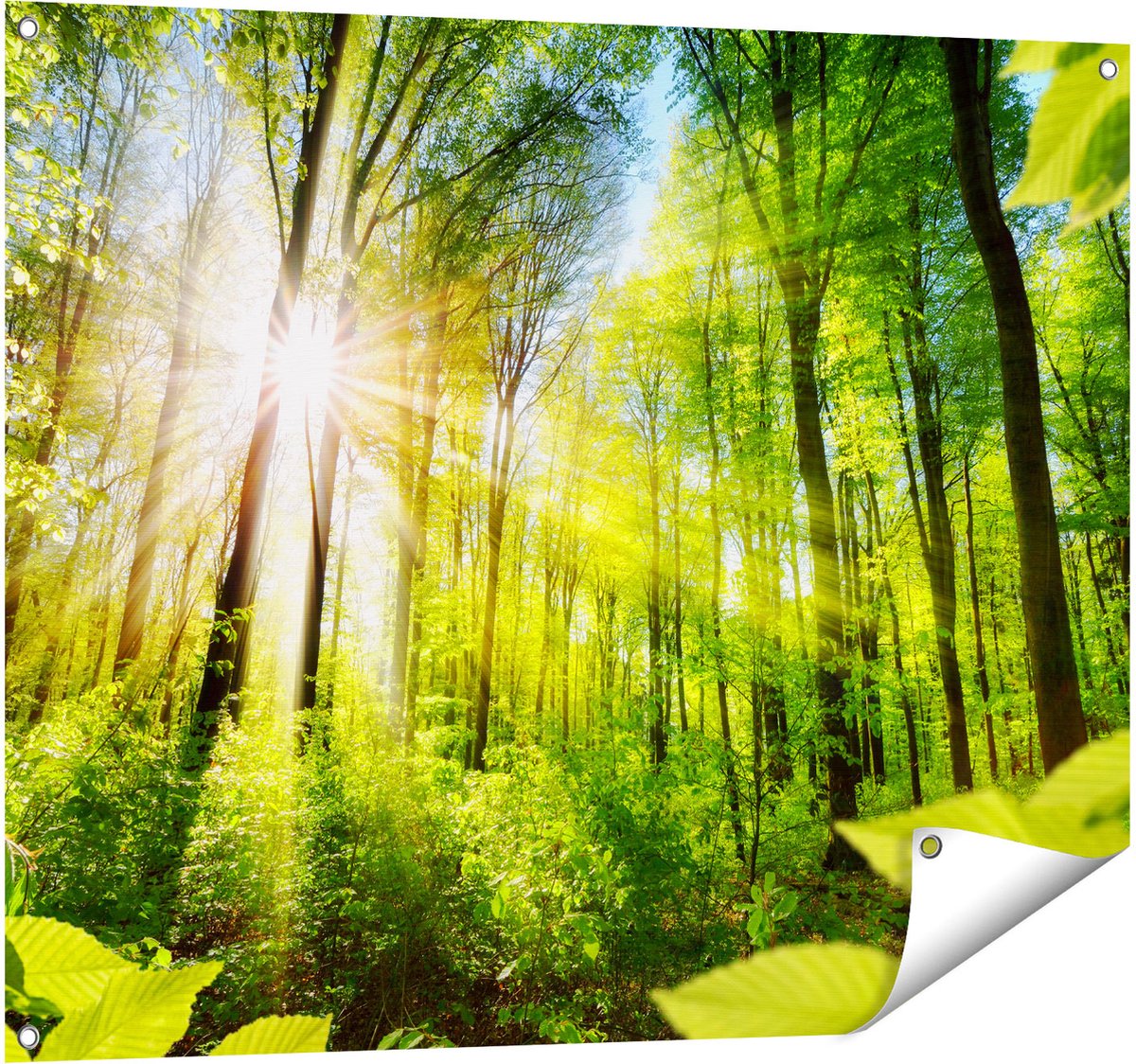 Gards Tuinposter Weg Omringd met Bomen in het Bos - 100x80 cm - Tuindoek - Tuindecoratie - Wanddecoratie buiten - Tuinschilderij Multikleur