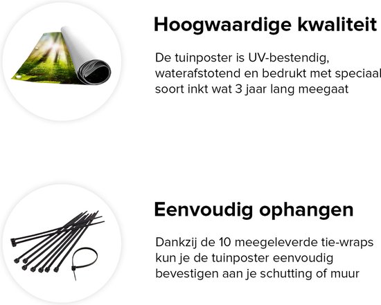 Gars Poster de Jardin Route Entourée d' Arbres dans la Forêt - 120x180 cm - Toile Jardin - Décoration de jardin - Décoration murale Extérieure - Tableau Jardin