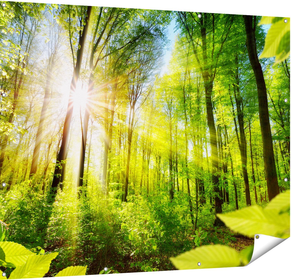 Gards Tuinposter Weg Omringd met Bomen in het Bos - 150x120 cm - Tuindoek - Tuindecoratie - Wanddecoratie buiten - Tuinschilderij Multikleur