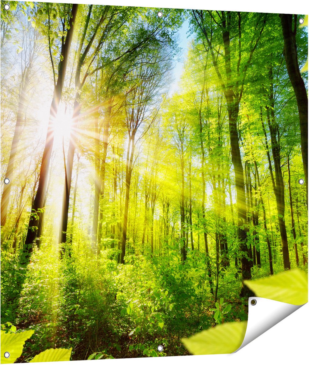 Gards Tuinposter Weg Omringd met Bomen in het Bos - 100x100 cm - Tuindoek - Tuindecoratie - Wanddecoratie buiten - Tuinschilderij Multikleur