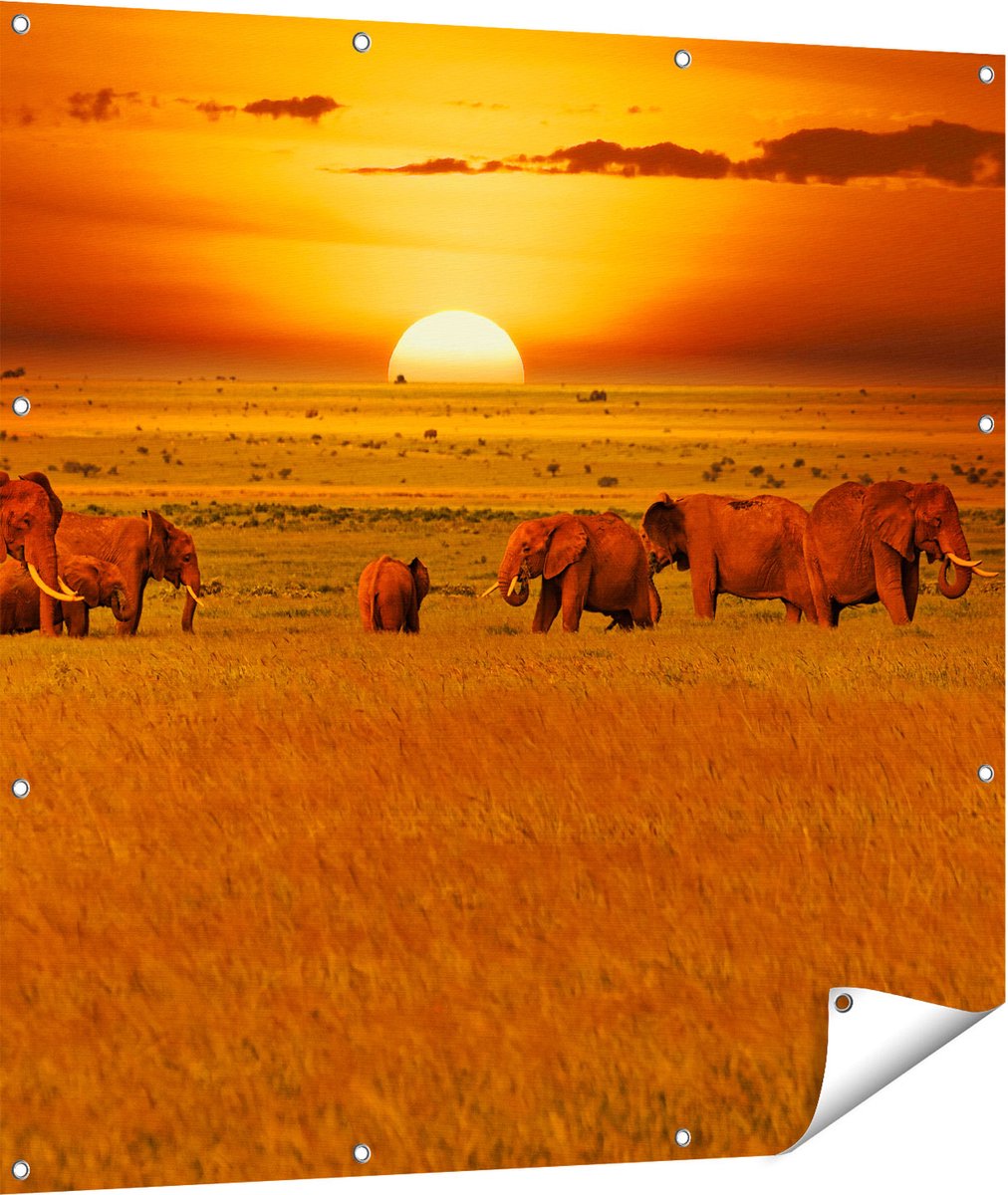 Gards Tuinposter Olifanten in het Wild - Zonsondergang - 110x110 cm - Tuindoek - Tuindecoratie - Wanddecoratie buiten - Tuinschilderij Multikleur