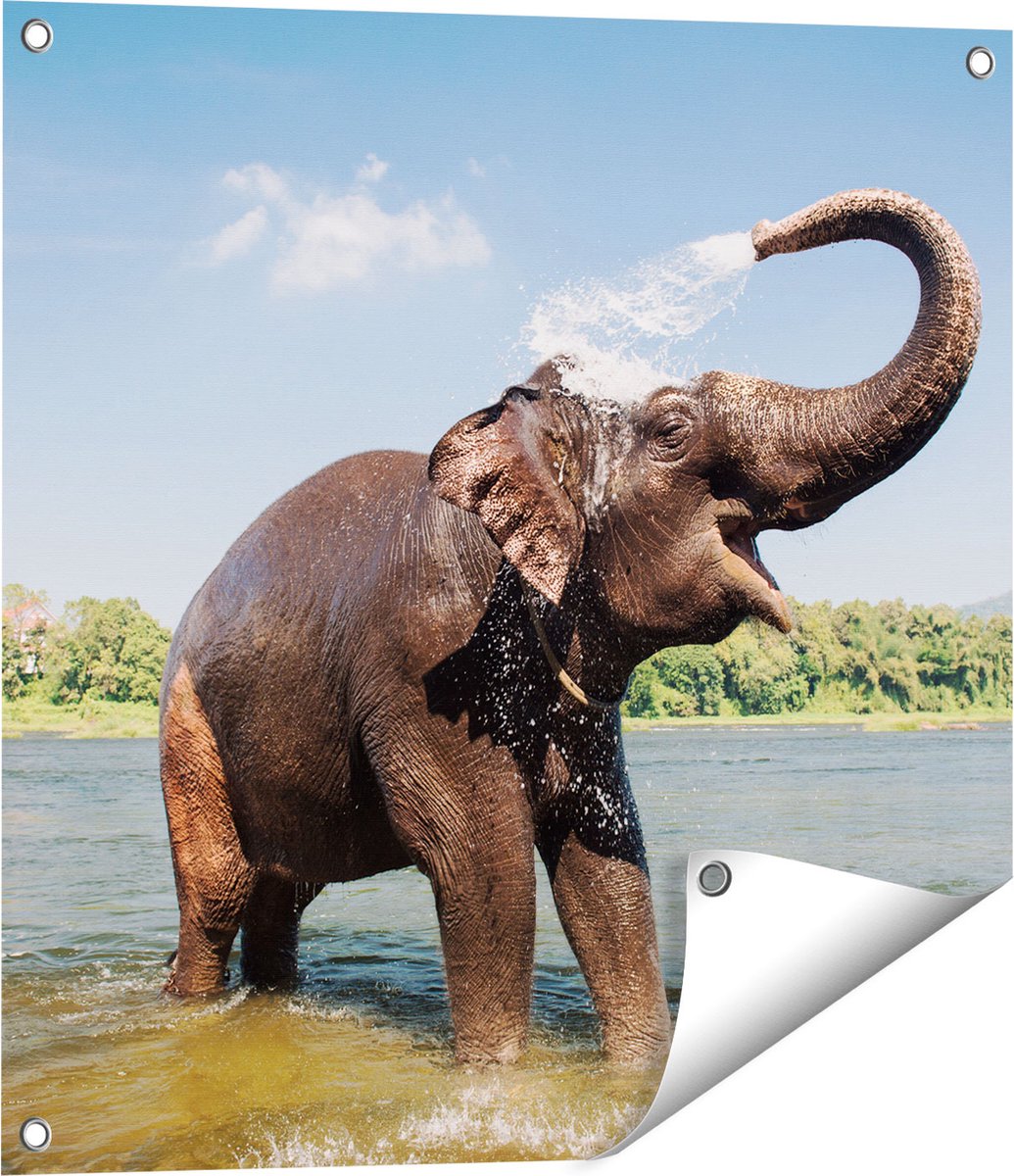 Gards Tuinposter Vrolijke Olifant in het Water - 60x60 cm - Tuindoek - Tuindecoratie - Wanddecoratie buiten - Tuinschilderij Multikleur