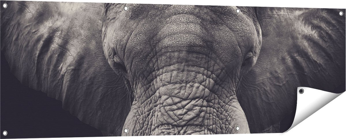 Gards Tuinposter Olifantenkop - Olifant - Zwart Wit - 150x50 cm - Tuindoek - Tuindecoratie - Wanddecoratie buiten - Tuinschilderij Multikleur