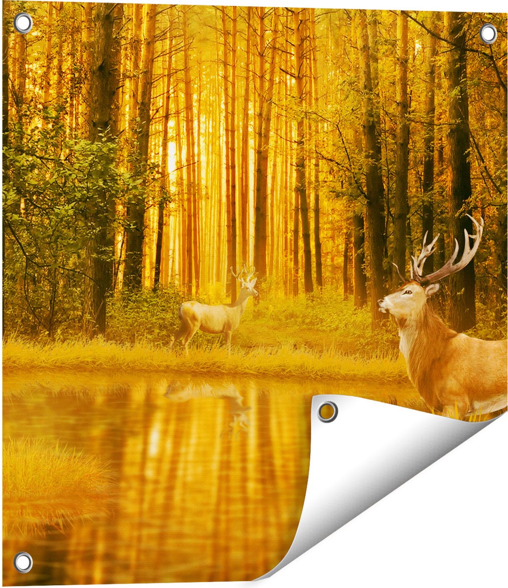 Gards Tuinposter Twee Herten in het Bos bij het Water - 50x50 cm - Tuindoek - Tuindecoratie - Wanddecoratie buiten - Tuinschilderij Multikleur