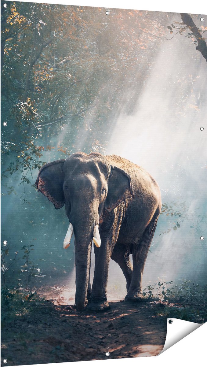 Gards Tuinposter Olifant in het Bos met Zonneschijn - 100x150 cm - Tuindoek - Tuindecoratie - Wanddecoratie buiten - Tuinschilderij Multikleur
