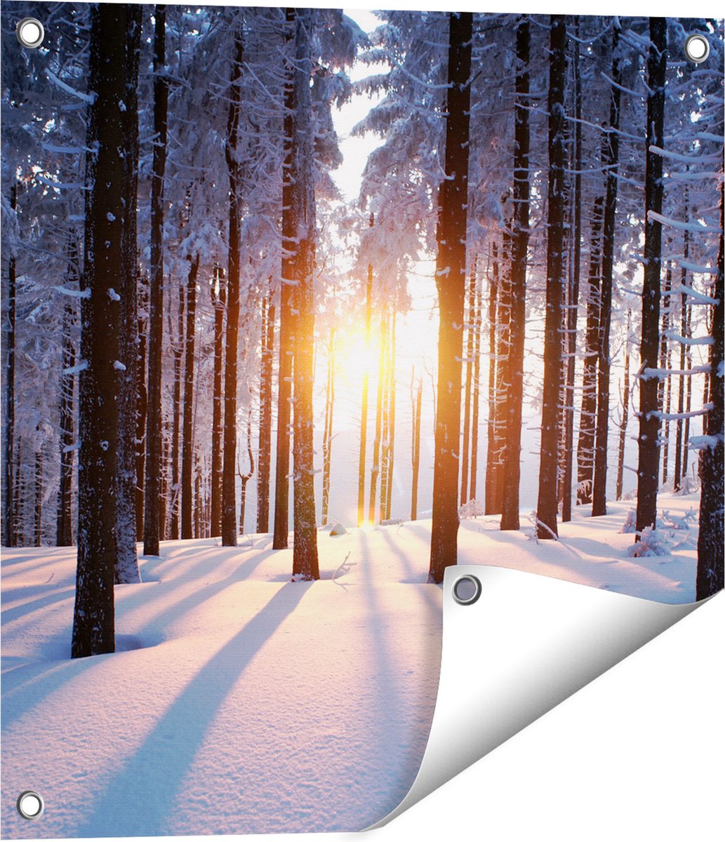 Gards Tuinposter Bos met Sneeuw tijdens de Zonsondergang - 50x50 cm - Tuindoek - Tuindecoratie - Wanddecoratie buiten - Tuinschilderij Multikleur