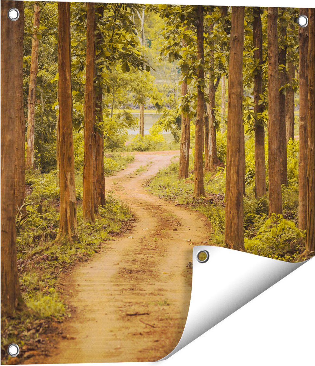 Gards Tuinposter Pad in het Bos met Bomen - 50x50 cm - Tuindoek - Tuindecoratie - Wanddecoratie buiten - Tuinschilderij Multikleur