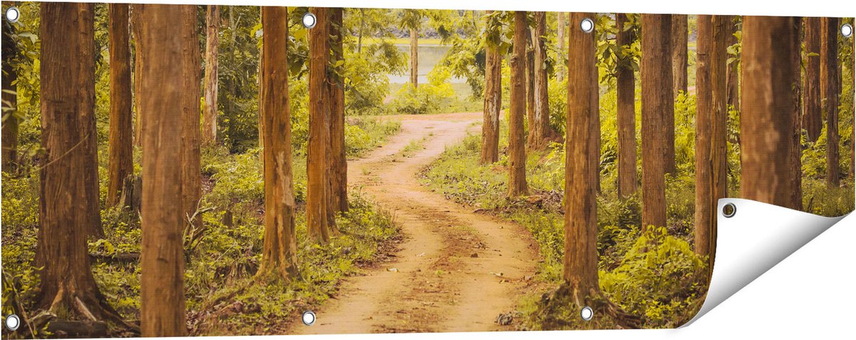 Gards Tuinposter Pad in het Bos met Bomen - 120x40 cm - Tuindoek - Tuindecoratie - Wanddecoratie buiten - Tuinschilderij Multikleur