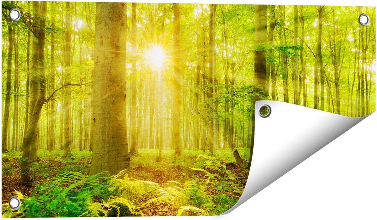 Gards Tuinposter Groen Bos met Schijnende Zonnestralen - 60x30 cm - Tuindoek - Tuindecoratie - Wanddecoratie buiten - Tuinschilderij Multikleur