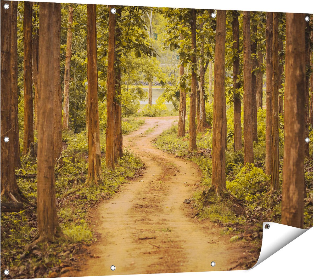 Gards Tuinposter Pad in het Bos met Bomen - 120x90 cm - Tuindoek - Tuindecoratie - Wanddecoratie buiten - Tuinschilderij Multikleur
