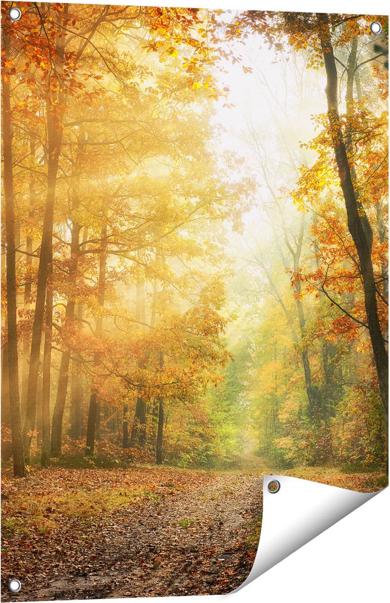 Gards Tuinposter Herfstbos met Zonneschijn - 60x80 cm - Tuindoek - Tuindecoratie - Wanddecoratie buiten - Tuinschilderij Multikleur