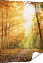 Affiche de jardin Gards Forêt d'automne avec soleil - 80x100 cm - Toile de jardin - Décoration de jardin - Décoration murale extérieure - Tableau de jardin