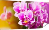 Gards Tuinposter Paarse Orchidee Bloemen - 180x90 cm - Tuindoek - Tuindecoratie - Wanddecoratie buiten - Tuinschilderij