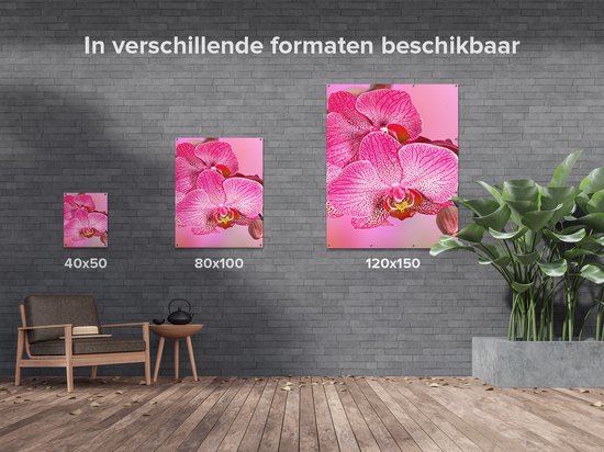 Gards Affiche de jardin Fleurs d'orchidées roses - 80x100 cm - Toile jardin - Décoration de jardin - Décoration murale extérieur - Tableau jardin