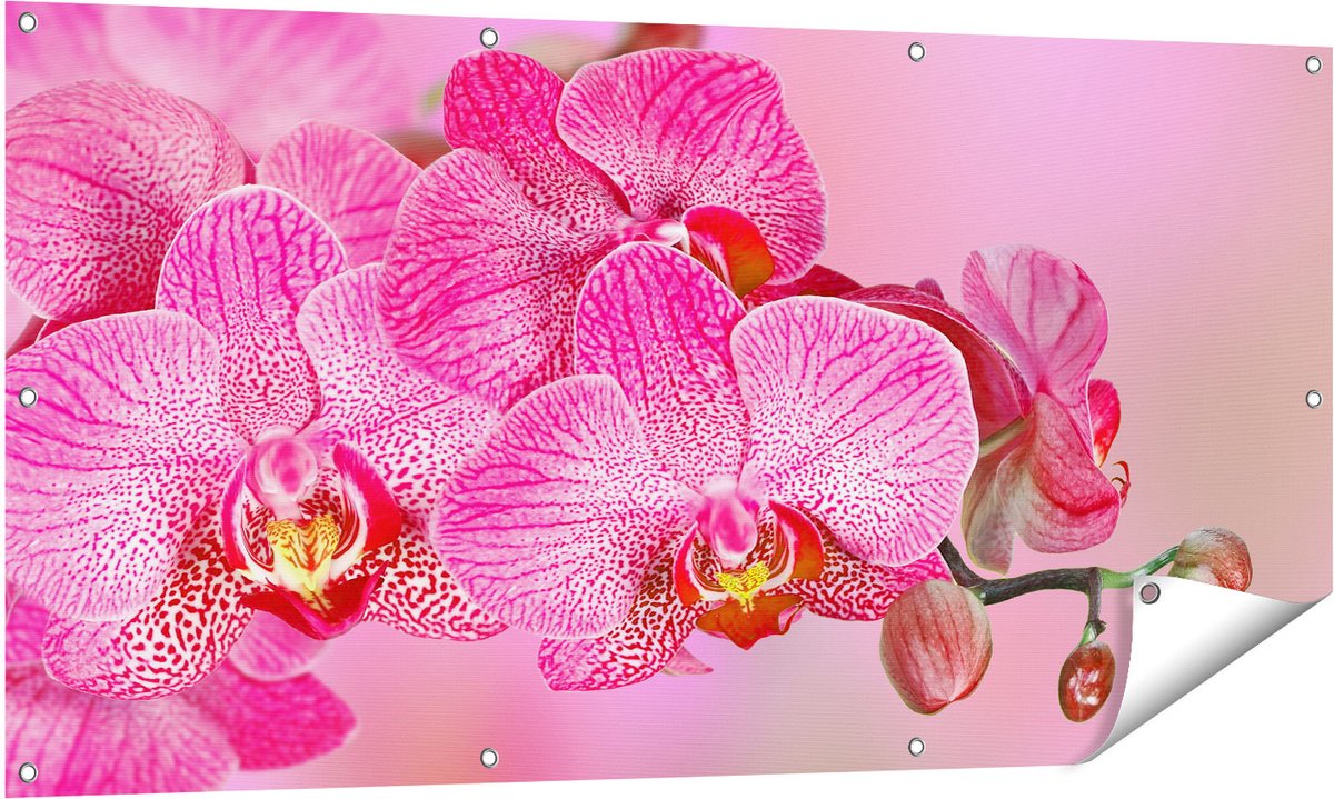 Gards Tuinposter Roze Orchidee Bloemen - 140x70 cm - Tuindoek - Tuindecoratie - Wanddecoratie buiten - Tuinschilderij Multikleur