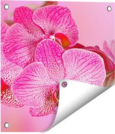 Gards Tuinposter Roze Orchidee Bloemen - 40x40 cm - Tuindoek - Tuindecoratie - Wanddecoratie buiten - Tuinschilderij