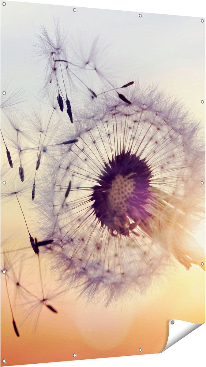 Gards Tuinposter Paardenbloem tijdens Zonsondergang - 120x180 cm - Tuindoek - Tuindecoratie - Wanddecoratie buiten - Tuinschilderij Multikleur