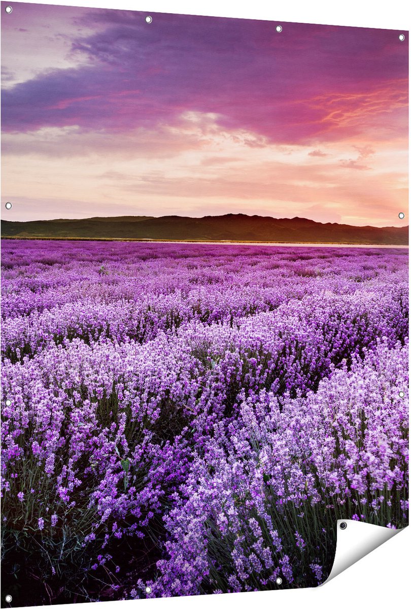 Gards Tuinposter Bloemenveld met Paarse Lavendel - Bloemen - 120x150 cm - Tuindoek - Tuindecoratie - Wanddecoratie buiten - Tuinschilderij Multikleur