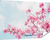 Gards Tuinposter Roze Bloesemboom - Bloemen - 150x100 cm - Tuindoek - Tuindecoratie - Wanddecoratie buiten - Tuinschilderij