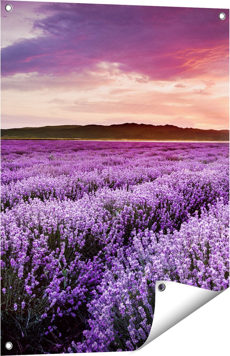 Gards Tuinposter Bloemenveld met Paarse Lavendel - Bloemen - 60x80 cm - Tuindoek - Tuindecoratie - Wanddecoratie buiten - Tuinschilderij Multikleur