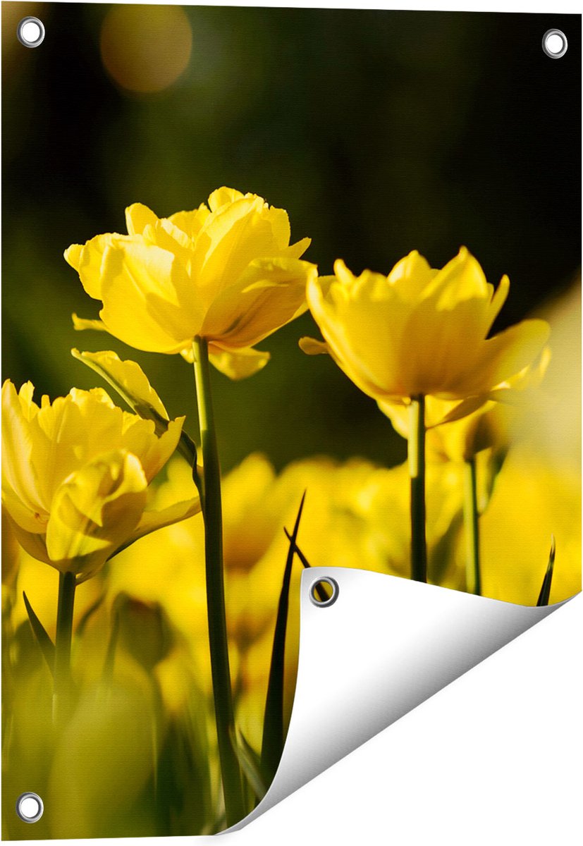 Gards Tuinposter Gele Tulpen - Bloemen - 40x50 cm - Tuindoek - Tuindecoratie - Wanddecoratie buiten - Tuinschilderij Multikleur