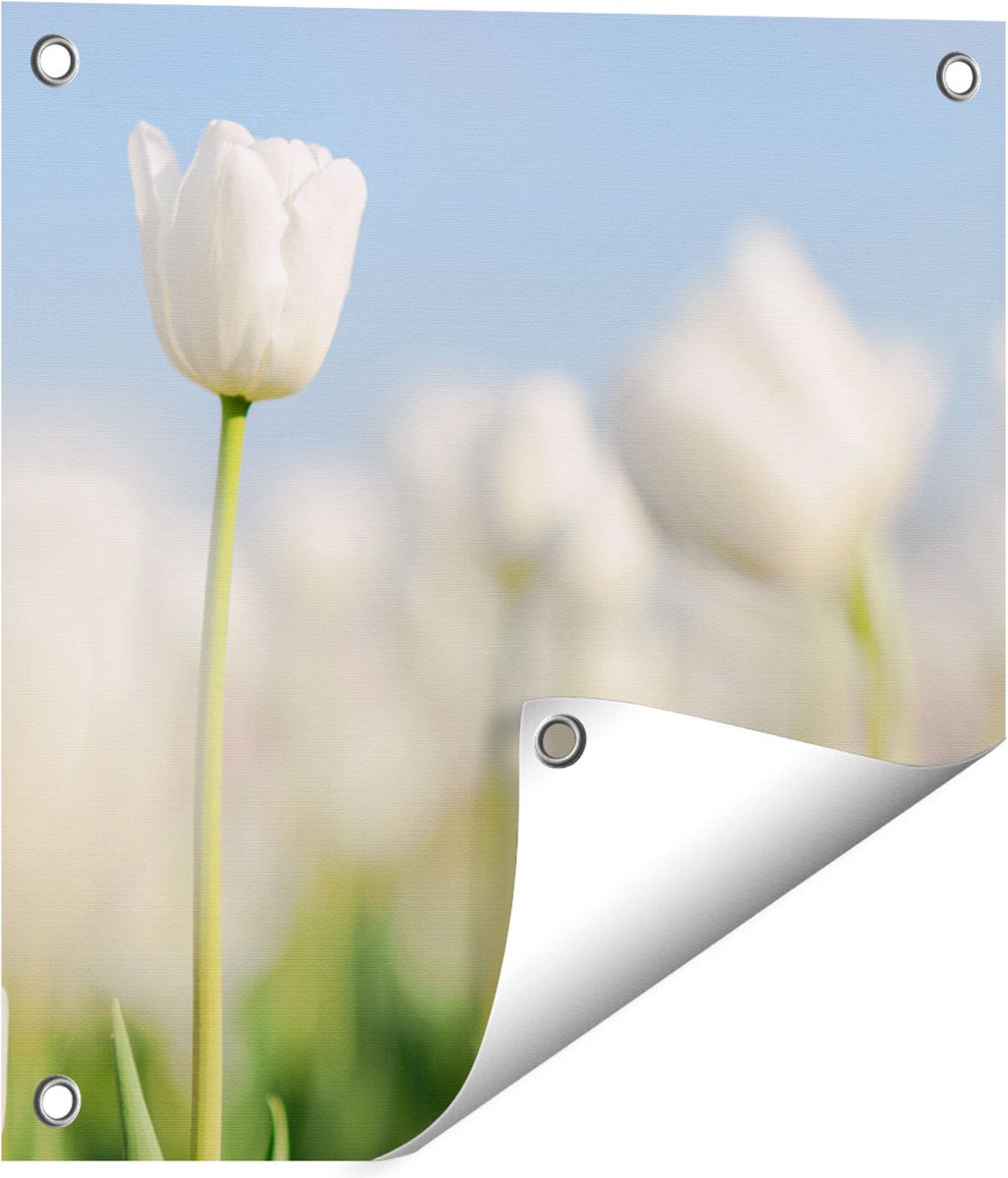Gards Tuinposter Witte Tulpen - Bloemen - 40x40 cm - Tuindoek - Tuindecoratie - Wanddecoratie buiten - Tuinschilderij Multikleur