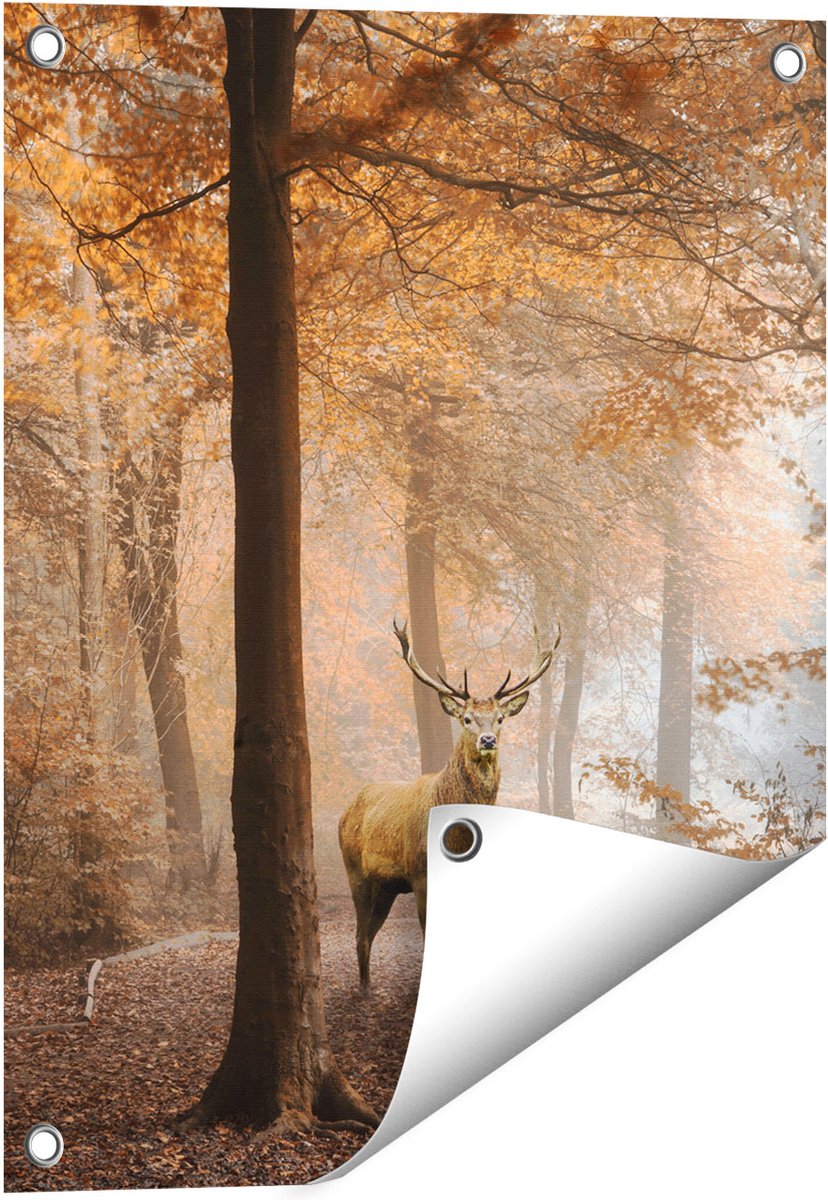 Gards Tuinposter Hert in het Bos - Herfst - 40x50 cm - Tuindoek - Tuindecoratie - Wanddecoratie buiten - Tuinschilderij Multikleur