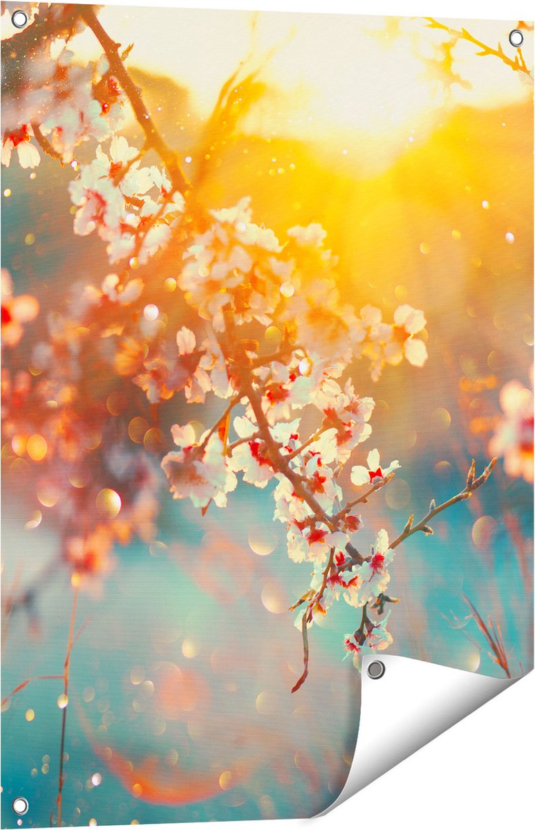 Gards Tuinposter Bloesemboom tijdens Zonsondergang - Bloem - 60x80 cm - Tuindoek - Tuindecoratie - Wanddecoratie buiten - Tuinschilderij Multikleur