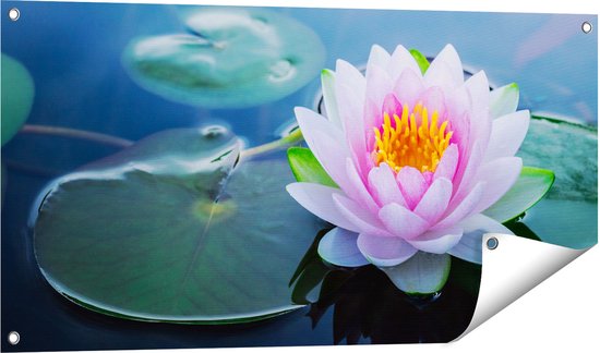 Tableau Photo Sur Toile 100x50 Cm - Fleur De Lotus Bleu Et Blanc - Style Moderne - NEUF Tulup