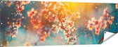 Gards Tuinposter Bloesemboom tijdens Zonsondergang - Bloem - 180x60 cm - Tuindoek - Tuindecoratie - Wanddecoratie buiten - Tuinschilderij