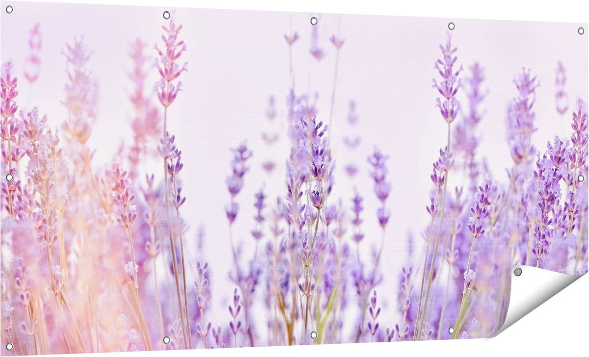 Gards Tuinposter Paarse Lavendel Bloemen - 160x80 cm - Tuindoek - Tuindecoratie - Wanddecoratie buiten - Tuinschilderij Multikleur