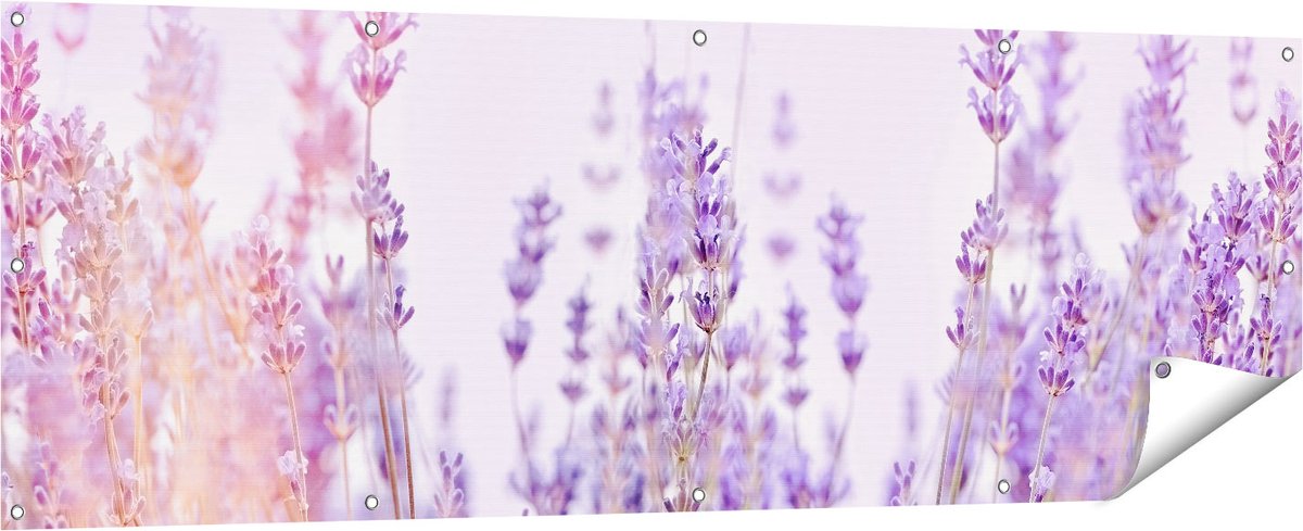 Gards Tuinposter Paarse Lavendel Bloemen - 180x60 cm - Tuindoek - Tuindecoratie - Wanddecoratie buiten - Tuinschilderij Multikleur