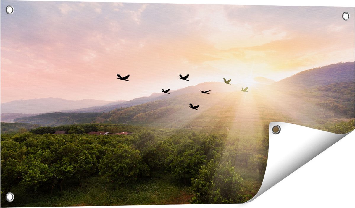 Gards Tuinposter Silhouet Zwerm Vogels bij Zonsondergang - 80x40 cm - Tuindoek - Tuindecoratie - Wanddecoratie buiten - Tuinschilderij Multikleur