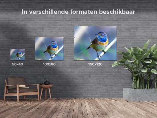 Gards Affiche de jardin Vogel Gorgebleue colorée sur une branche - 100x80 cm - Toile jardin - Décoration de jardin - Décoration murale extérieur - Tableau jardin