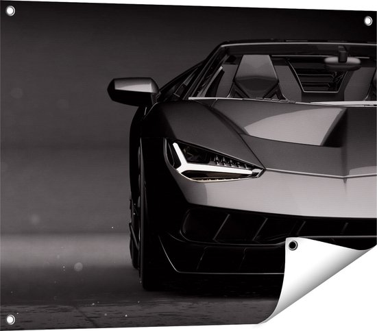 Affiche de jardin Gards Voiture de sport noire - 80x60 cm - Toile de jardin - Décoration de jardin - Décoration murale extérieure - Tableau de jardin