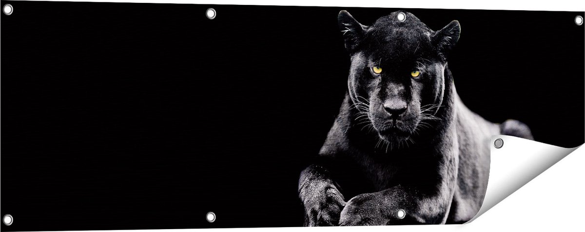 Gards Tuinposter Zwarte Panter - 120x40 cm - Tuindoek - Tuindecoratie - Wanddecoratie buiten - Tuinschilderij Multikleur