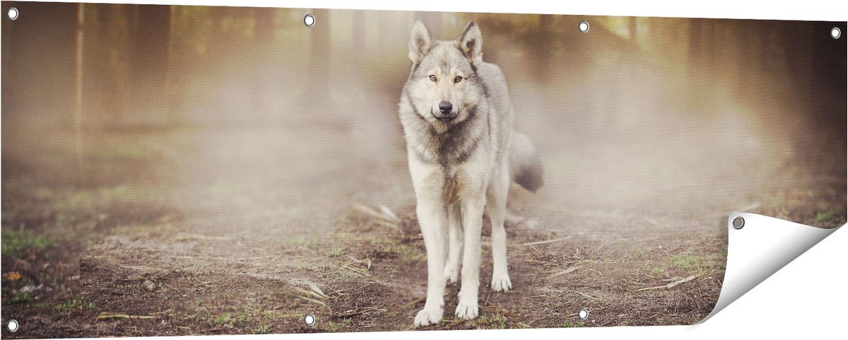 Gards Tuinposter Grijze Wolf in het Bos - 150x50 cm - Tuindoek - Tuindecoratie - Wanddecoratie buiten - Tuinschilderij Multikleur