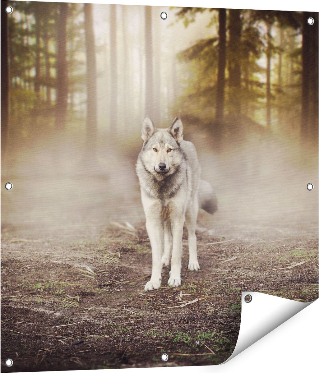 Gards Tuinposter Grijze Wolf in het Bos - 80x80 cm - Tuindoek - Tuindecoratie - Wanddecoratie buiten - Tuinschilderij Multikleur