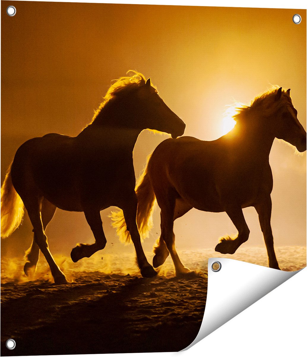 Gards Tuinposter Silhouet van Twee Paarden - 60x60 cm - Tuindoek - Tuindecoratie - Wanddecoratie buiten - Tuinschilderij Multikleur