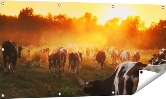 Gards Tuinposter Kudde Koeien in Weiland bij Zonsondergang - 120x60 cm - Tuindoek - Tuindecoratie - Wanddecoratie buiten - Tuinschilderij