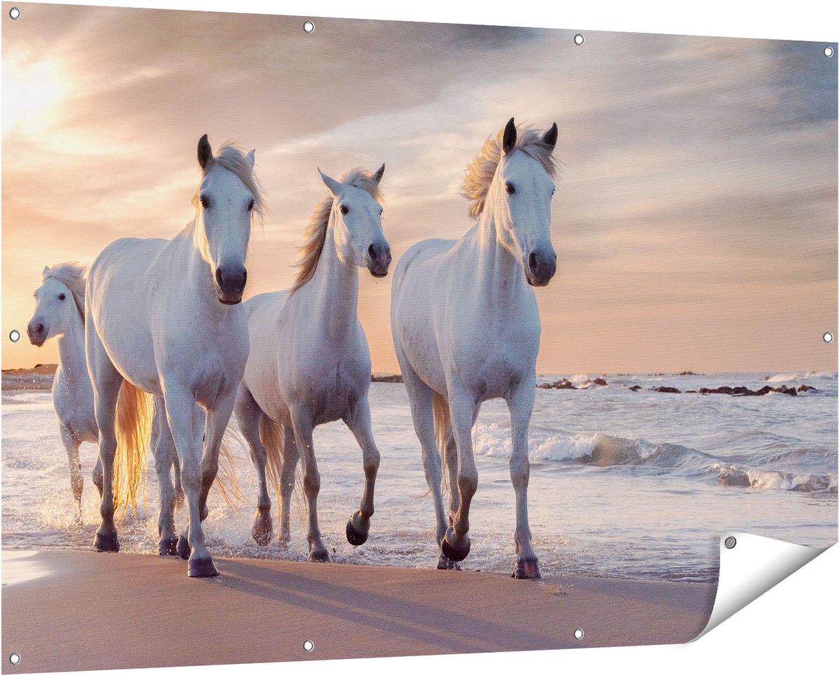 Gards Tuinposter Witte Paarden op het Strand bij Water - 150x100 cm - Tuindoek - Tuindecoratie - Wanddecoratie buiten - Tuinschilderij Multikleur