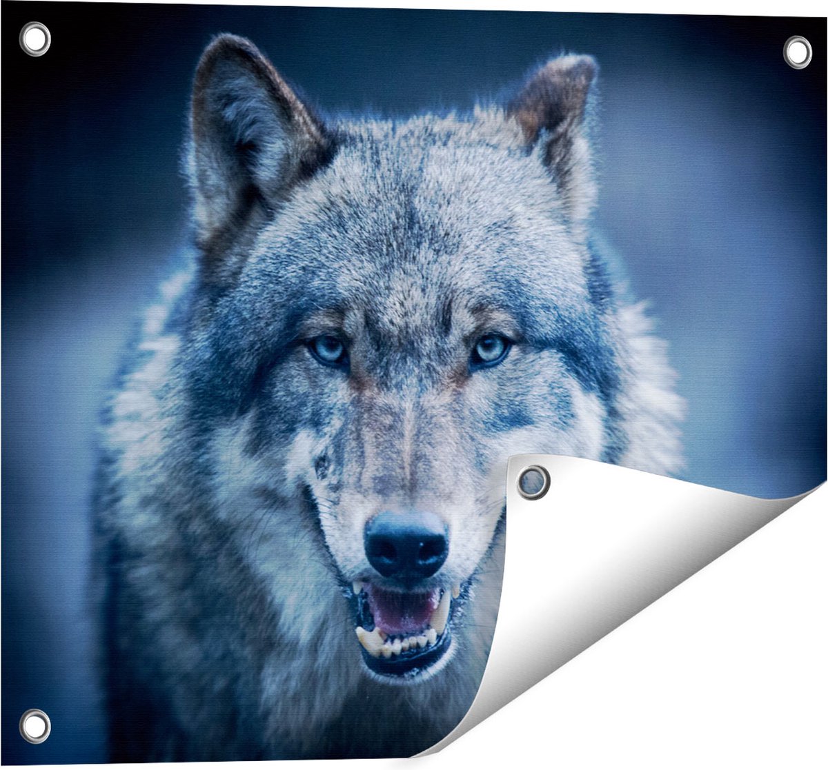 Gards Tuinposter Wolvenkop Met Blauwe Ogen Wolf 50x40 Cm Tuindoek gards-tuinposter-wolvenkop-met-blauwe-ogen-wolf-50x40-cm-tuindoek