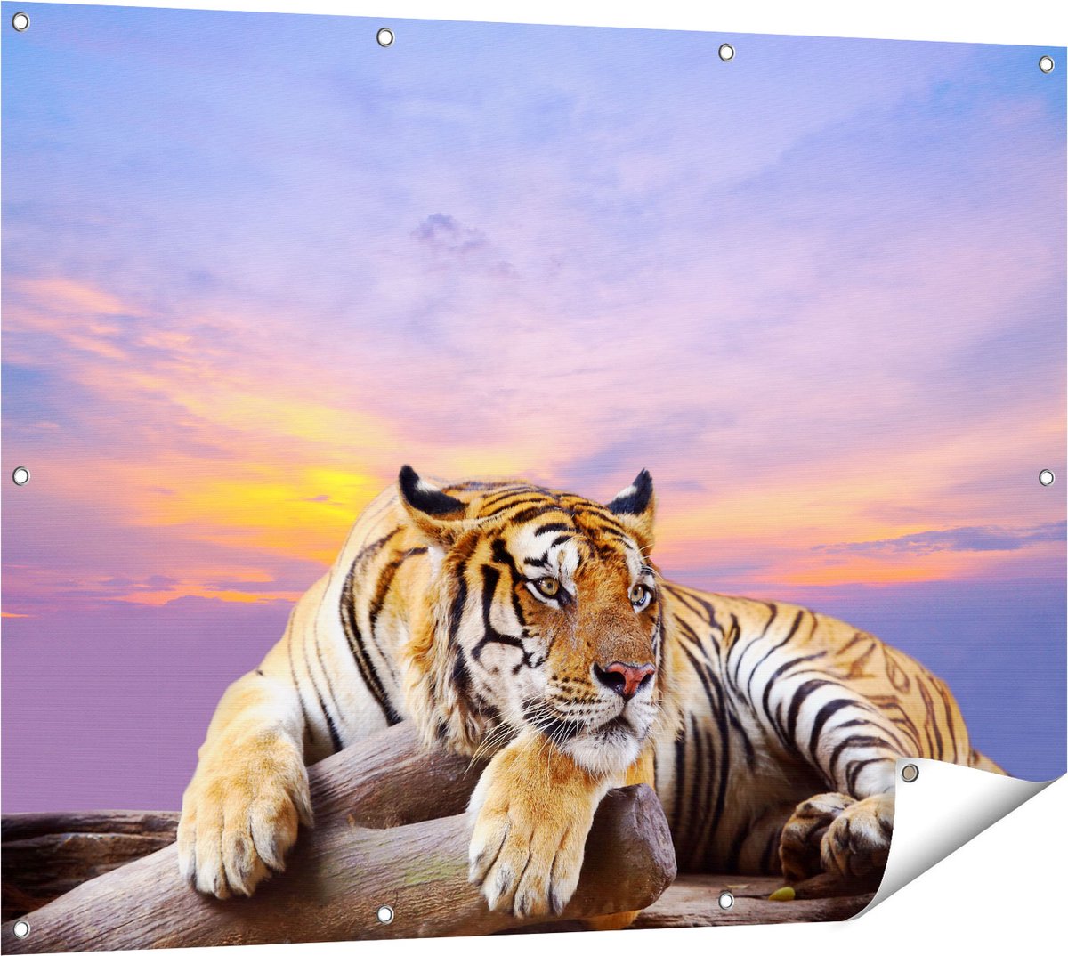 Gards Tuinposter Tijger tijdens Zonsondergang - 120x90 cm - Tuindoek - Tuindecoratie - Wanddecoratie buiten - Tuinschilderij Multikleur